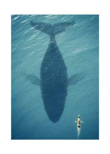 Underneath the surface