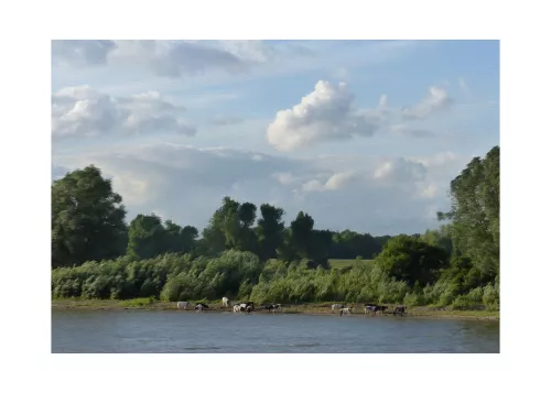 Pastoral Landscape#1