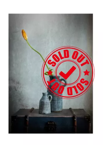 SOLD OUT Solo