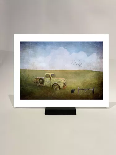 Artmuze SOLD OUT Black Sheep (300336)