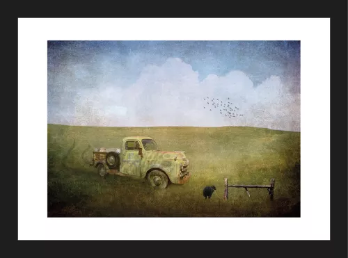 Artmuze SOLD OUT Black Sheep (300336)