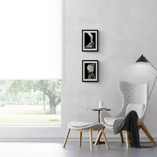 Artmuze Dressed with a tulip (300235)