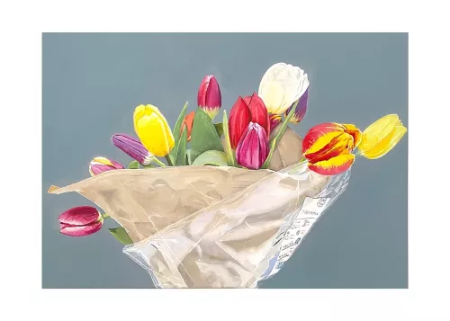 Tulips for you